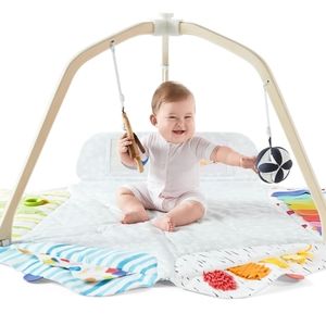 Lovevery Play Gym